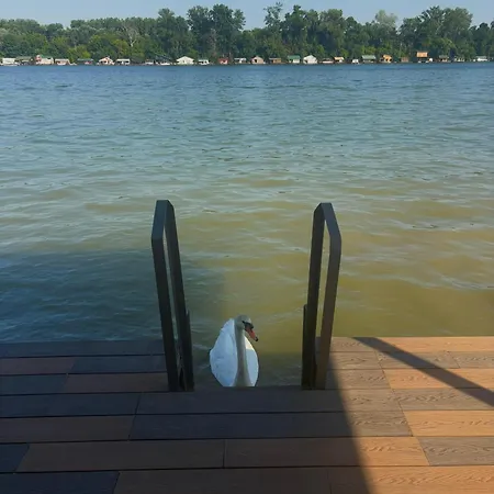 Santa Barbara River Belgrad